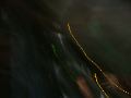 DSCF0264.JPG