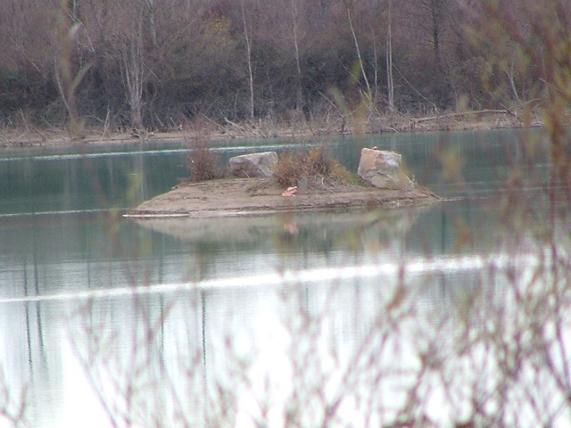 DSCF0312.JPG