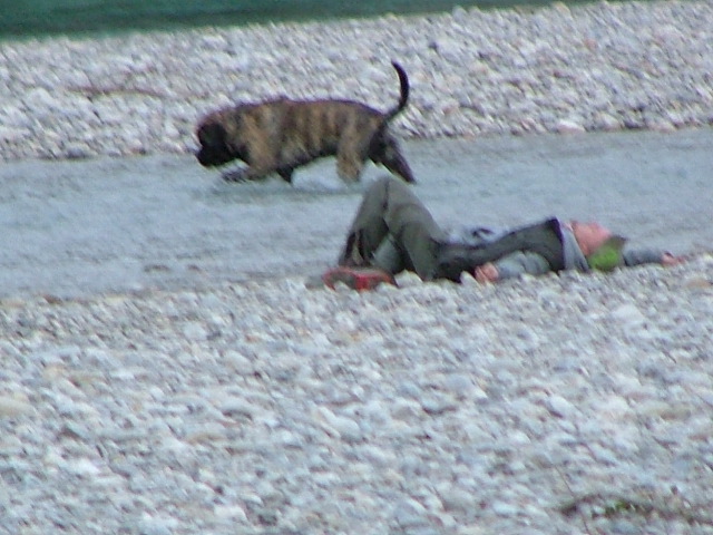 DSCF0315.JPG