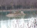 DSCF0311.JPG