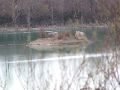 DSCF0312.JPG