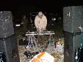 DSCF0332.JPG